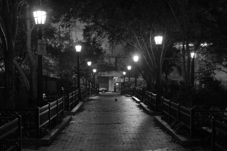 park at night